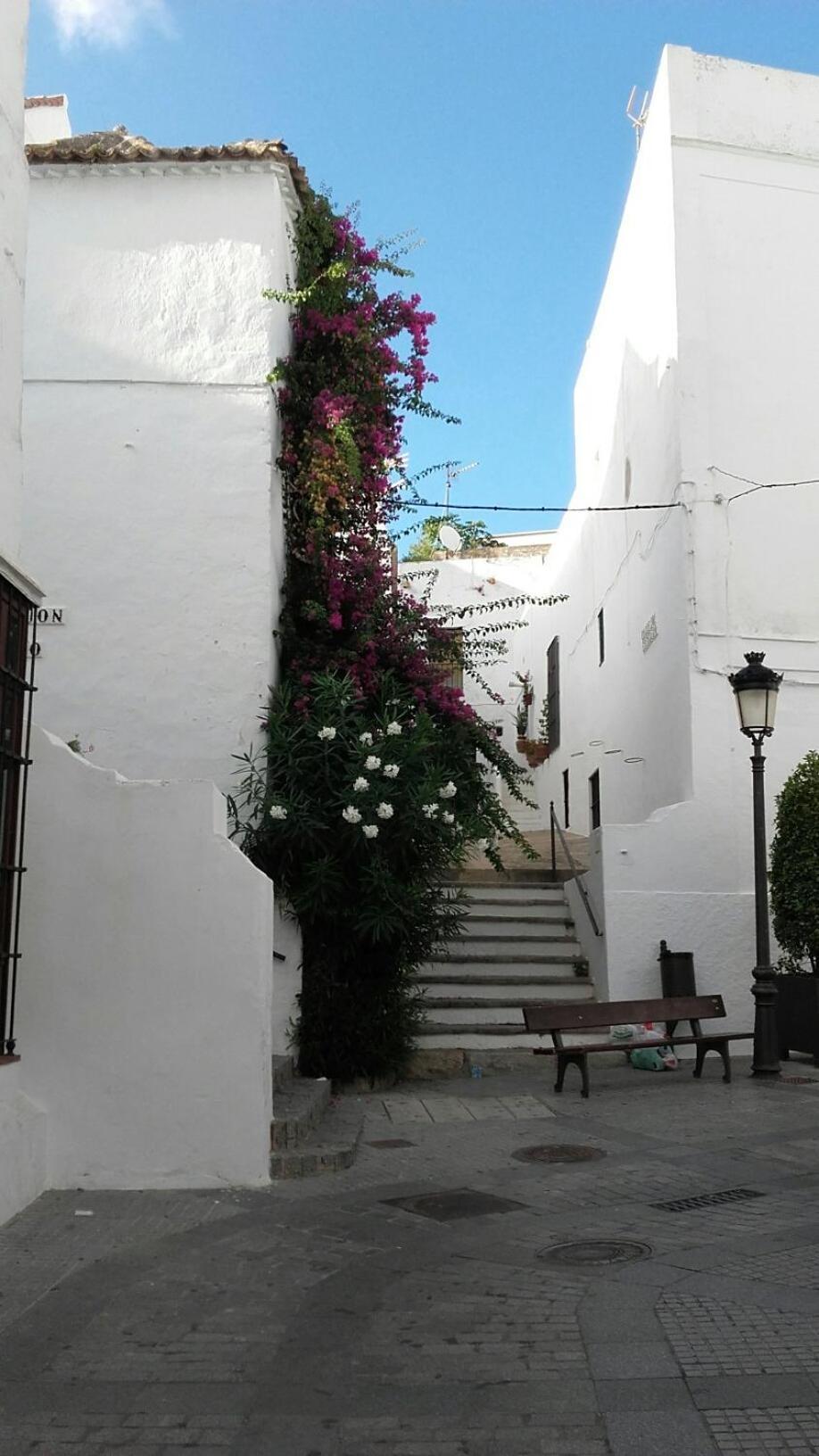 Casa Calle Alta Maria Bajo Вехер-де-ла-Фронтера Екстер'єр фото
